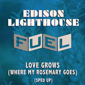 Love Grows (Where My Rosemary Goes) (Slowed Down)