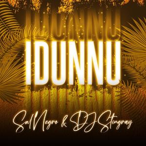 Idunnu (feat. DJ Stingray)