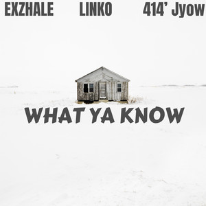 What Ya Know (Explicit)