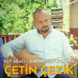 Dut Ağacı / Karanfilin Moruna