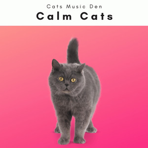 4 Calm Cats