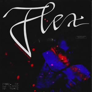 FLEX (Explicit)