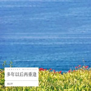 多年以后再重逢