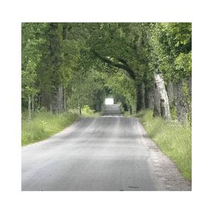 Who am I to say (Explicit)