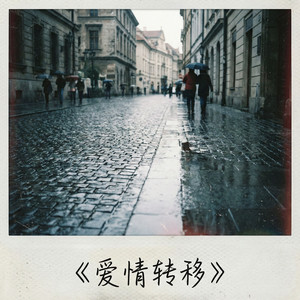 爱情转移（刘大拿）