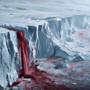 Polarkreis (Explicit)