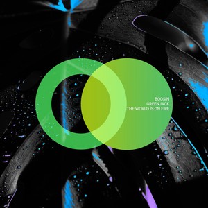 The World Is on Fire (Radio Edit)