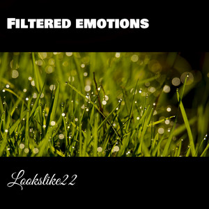 Filtered Emotions