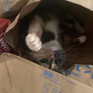 Jakes (feat. Jovan) (Explicit)