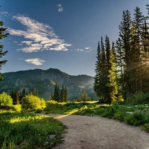 Camino de Luz