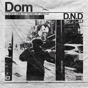 HIGH SCHOOL ROMANCE (Explicit)