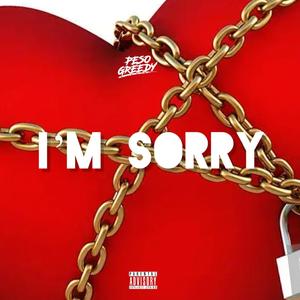 I'm Sorry (Explicit)