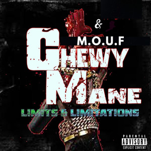 Limits & Limitations (Explicit)