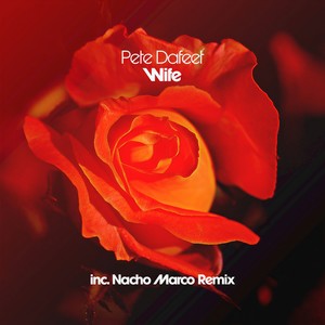 Wife (Extended Mix)