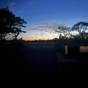 Zodiac Girl (feat. Driz) (Explicit)