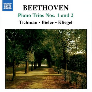 Allegretto in B-Flat Major, WoO 39 - Allegretto in B-Flat Major, WoO 39, 