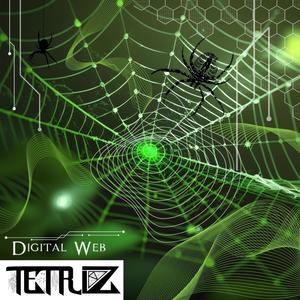 Digital Web