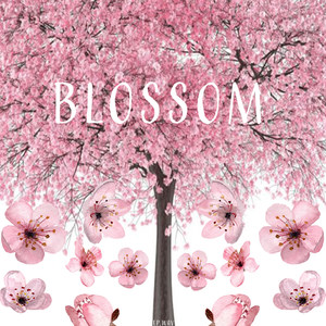 Blossom (Explicit)