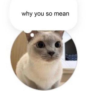 moola (feat. hager) (Explicit)