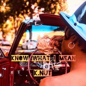 Know what I mean (Explicit)