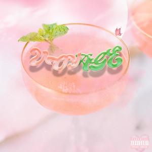 Voyage (feat. Shannon Gucci) (Explicit)