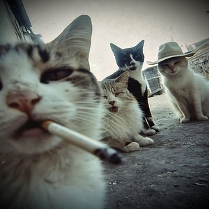 Wait-LowGround Gang&Mizz