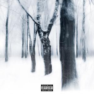 Last Winter (feat. Gavin Ross) [Explicit]