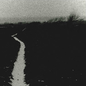 Son Of Contaminated Land