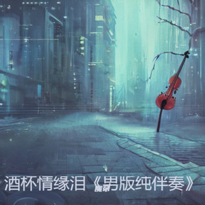 酒杯情缘泪《男版纯伴奏》 (伴奏)