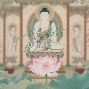 我是佛前那朵莲 (DJ潇海版)