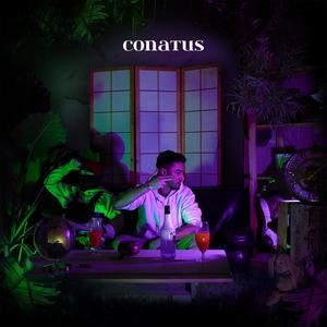 CONATUS (Explicit)