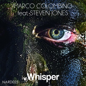 Circling Vultures (Original Mix)