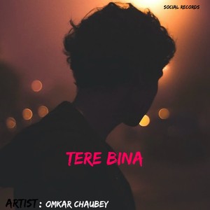 Tere Bina