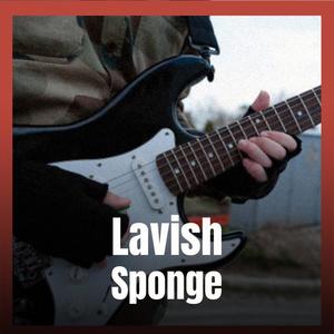 Lavish Sponge