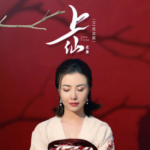 花僮 - 上仙 (DJ沈念版)