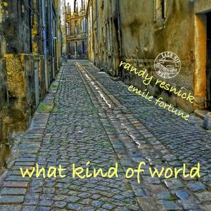 What Kind of World (feat. Emile Fortune) [Instrumental]