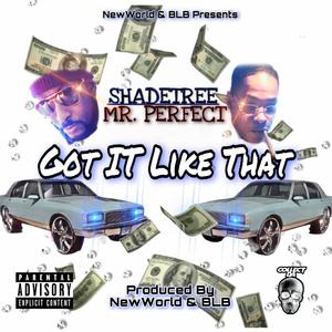 Got it like that (Explicit)