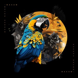 Macaw