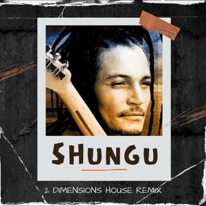 Shungu (feat. Andy Brown) [House Remix]