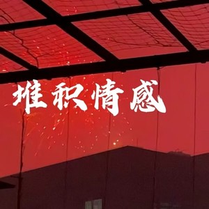 大头针 Official - 堆积情感 (摇滚烟嗓版)