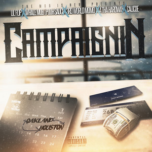 Campaignin (Explicit)