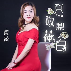 只叹梨花白 (伴奏)