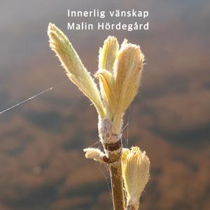 Innerlig vänskap(feat. Malin Hördegård)