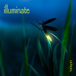 Illuminate