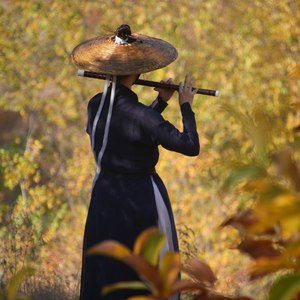 暗香·旧时月色