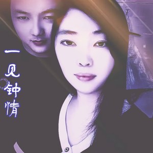 一见钟情爱上你