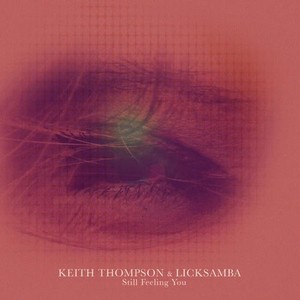 Still Feeling You (Licksamba Beatless Version)