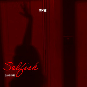 Selfish (Radio Edit)
