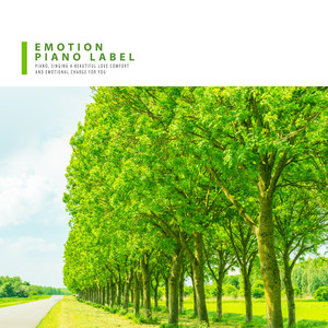 자전거가 있는 카페 (Cafe With Bicycles)