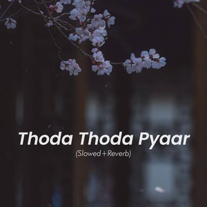 Thoda Thoda Pyaar (Slowed and Reverb)
